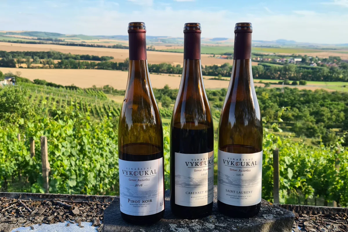 Tři lahve vína Vykoukal na zídce nad vinicí